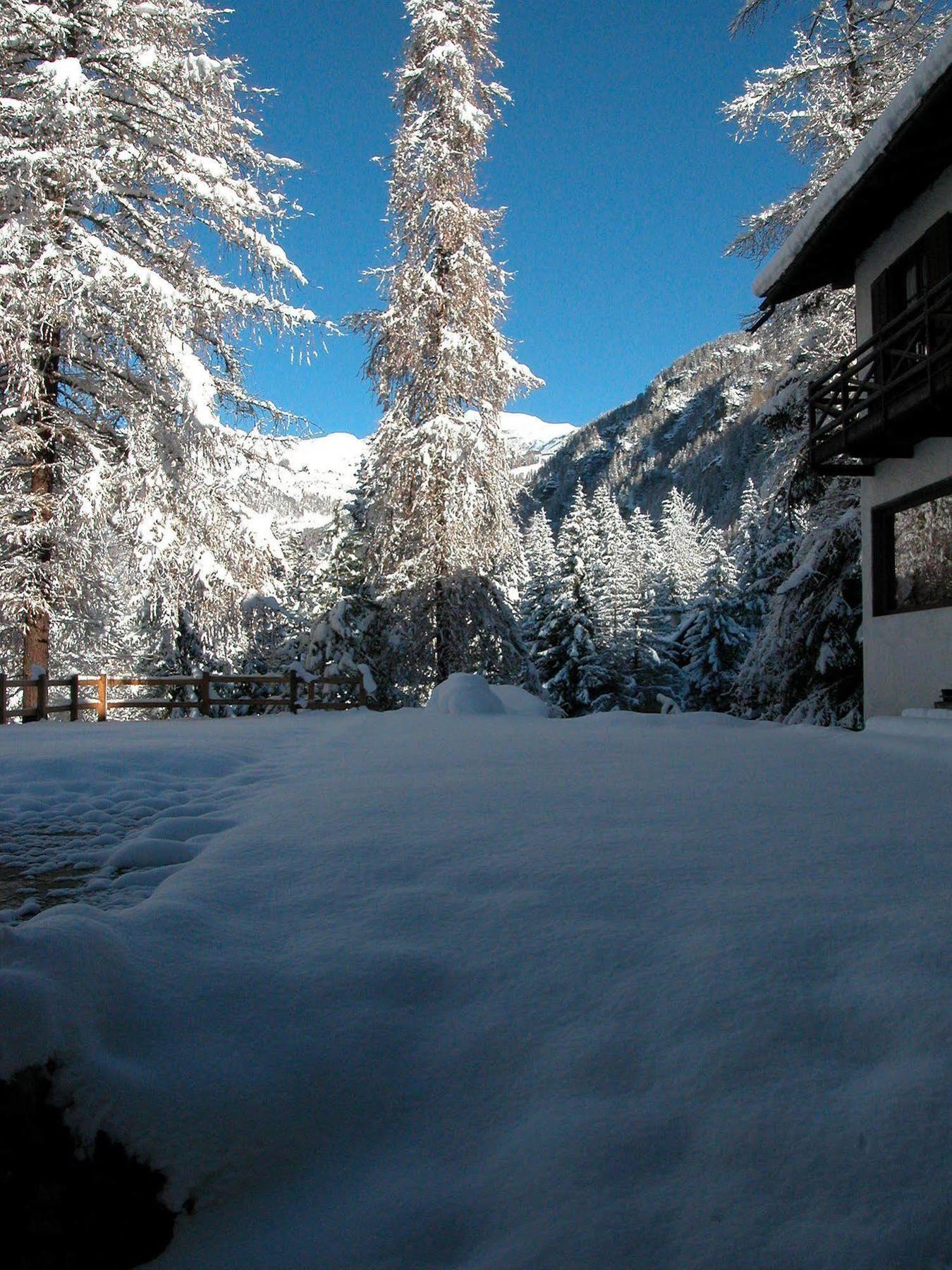 Albergo Villa Anna Maria Champoluc Exterior foto